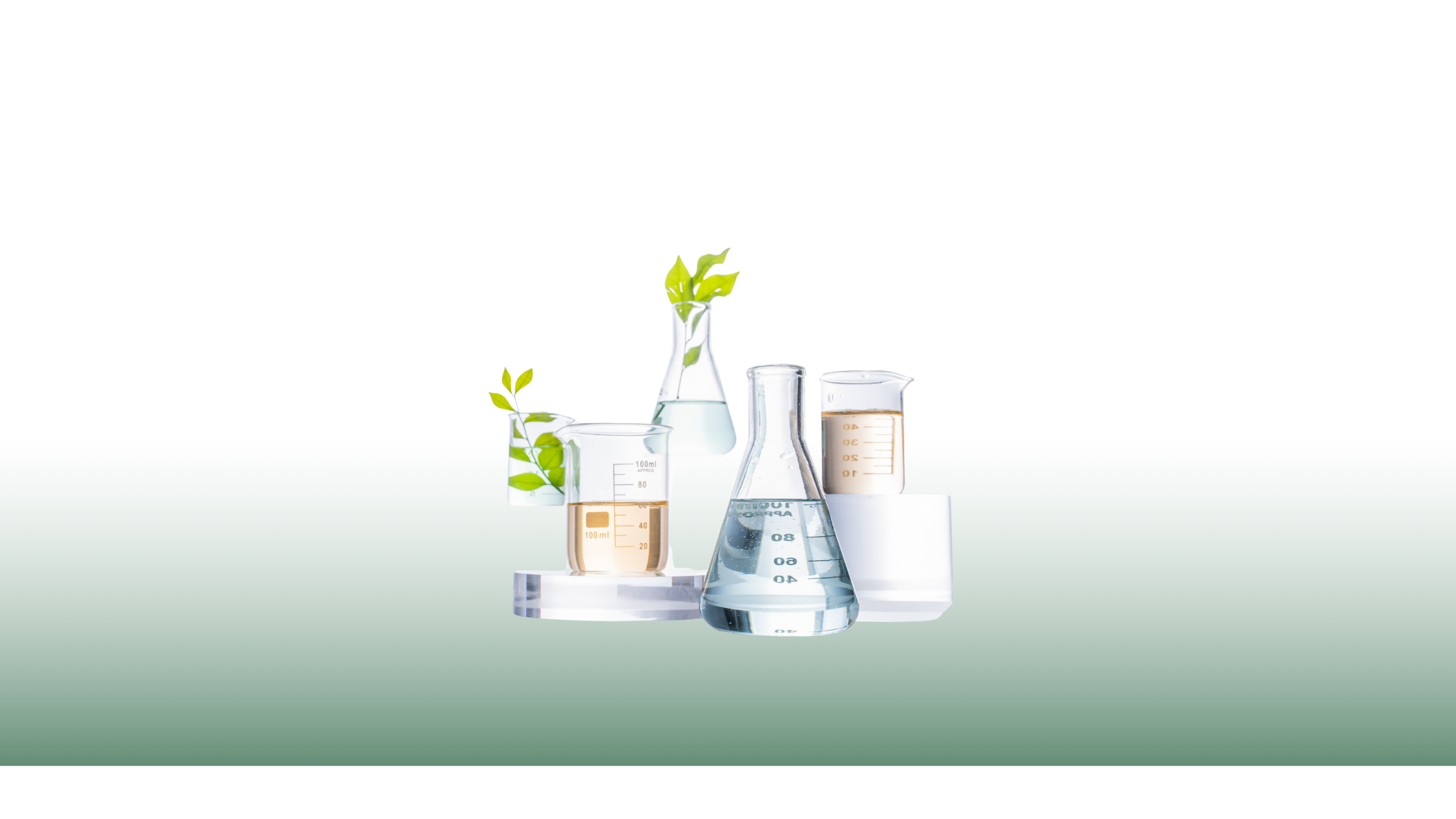 The Hidden Risks in Period Care: Why It's Time to Demand Better